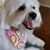 Brenda Salmon's profile image