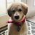 Colleen Tagner Davies's profile image