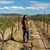 Elizabeth Friese's profile image