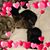 Mary Ann Hofacre's profile image