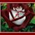 Marqueeta Carrier James Powell's profile image