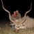 Brian Vossler's profile image