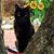 Sonya Epperson Brinton's profile image