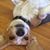 Vicki Bowman Frederick's profile image