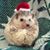 Douglas Mclellan's profile image