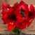 Pamela S Kauffman's profile image