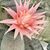 Pamela Hodges Walker's profile image