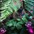 Lisa Valech's profile image