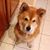 Sonia Vicuna's profile image