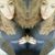 Magdalena Lozanova's profile image
