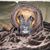 Lynda Mickelsen's profile image