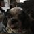 Jenny Byrd's profile image