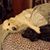 Julie Putchinski's profile image