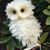 Susan Wright's profile image