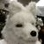 Alison West's profile image