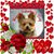 Debbie Horton's profile image