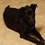 Beth Littlestar's profile image