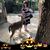 Sherri Case's profile image