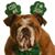 Chris Brewer's profile image
