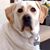Zack Elverton's profile image