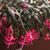 Lisa Combs's profile image