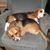 Stephanie Block's profile image
