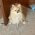 Khoa Sinclair's profile image