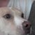 Chris Curley's profile image