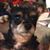 Jane Carr's profile image
