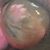 Sapphire Lint's profile image