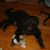 Donna Gaylor Thompson's profile image