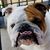 Pappy Van Wrinkle's profile image