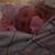 Holly Brown's profile image