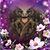 Drusilla Delp's profile image