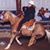 Terri Carsey's profile image