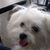 Brenda Lopez Ruano's profile image