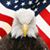 Tammy Norton's profile image