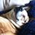 Katie Stanley Brower's profile image