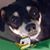 Kelly Chernault's profile image