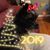 Terri Dooley Tooke's profile image