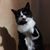 Deanne Peterson's profile image