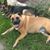 Sally Davis's profile image