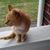 Cyndi Bowman Pollaci's profile image