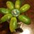 Doyle Lampton's profile image