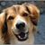 Ellen McMahon's profile image