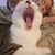 Kathy Lynn's profile image