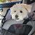 Barbara Chambers Mathe's profile image