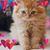 Jennifer Evans's profile image