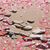 Shelly Weaver VanLancker's profile image