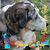 Terry Smith's profile image